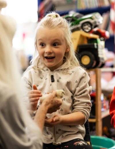 hands-on with baby chicks